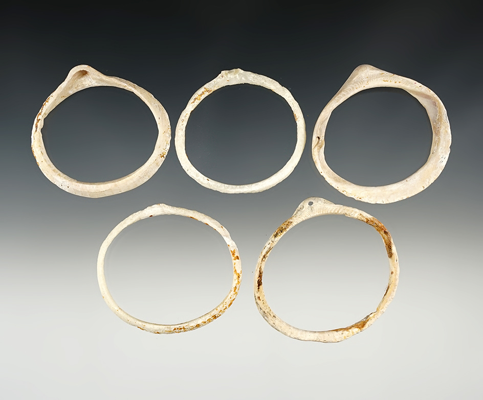 Set of 3 nice Shell Ornaments- New Mexico. Largest is 2 1/4".