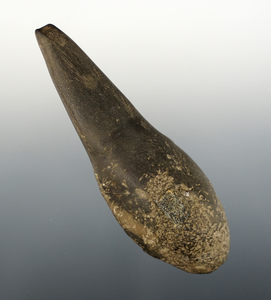 3 7/8" Lizard-style Atlatl Weight - Ohio. Ex. Gordon Meuser.