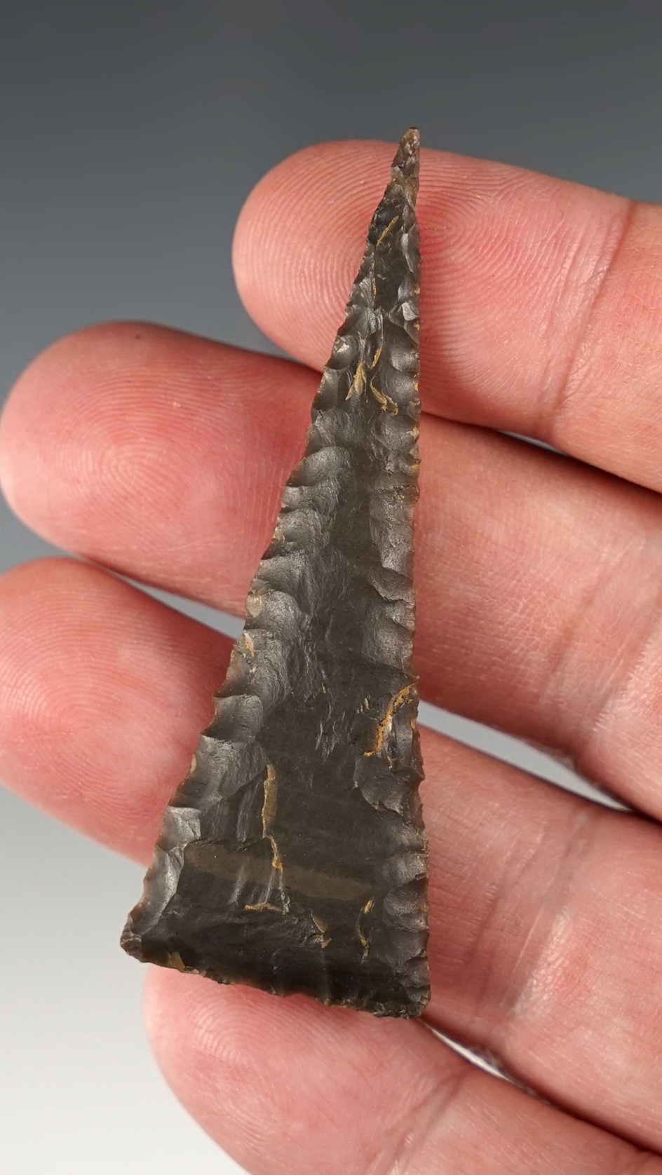 Superb 2 1/2" TN Triangle point.Well made.