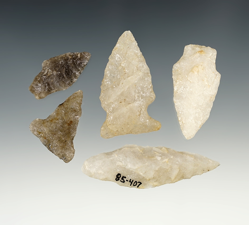 Set of 5 nice Massachusetts points. Largest is 2 3/8".