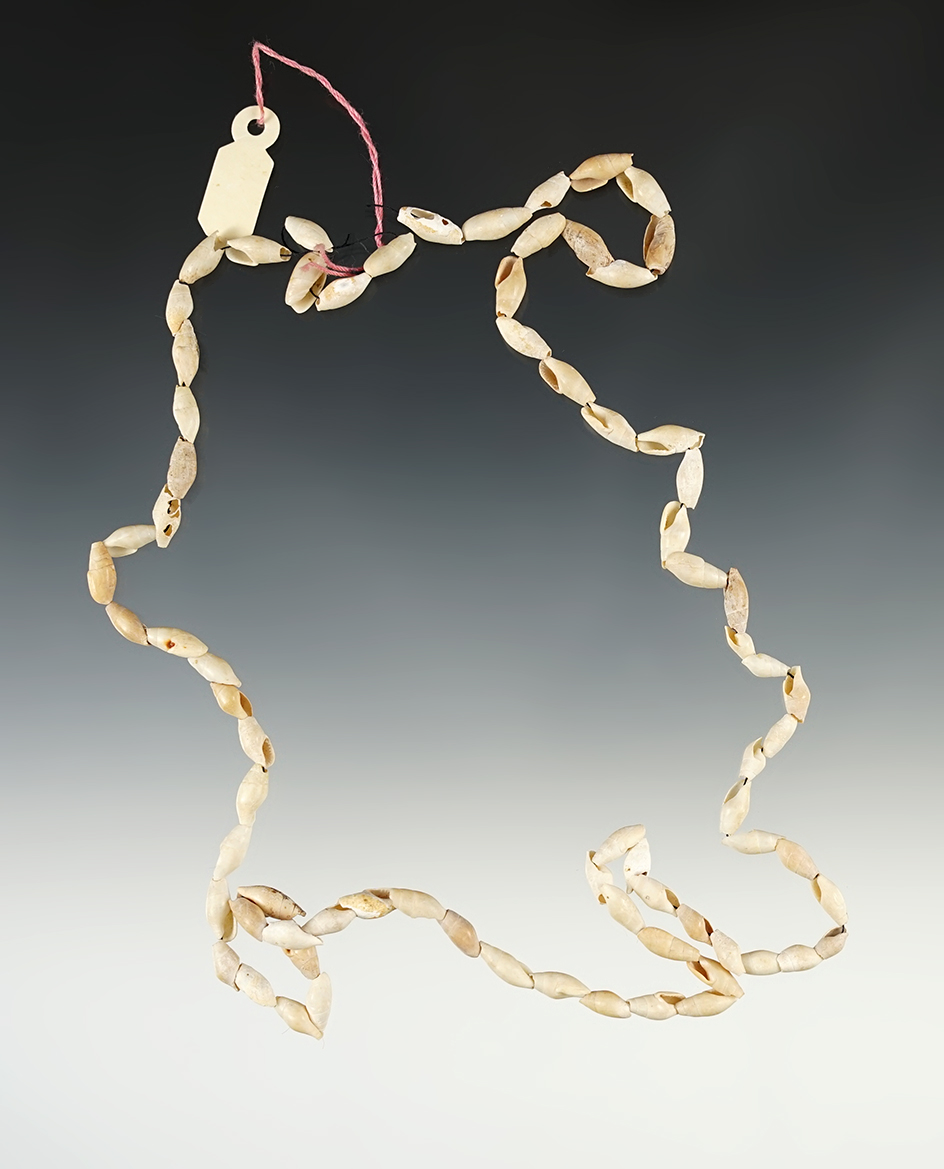 25" Strand of Shell Beads found in Humphreys Co., TN..