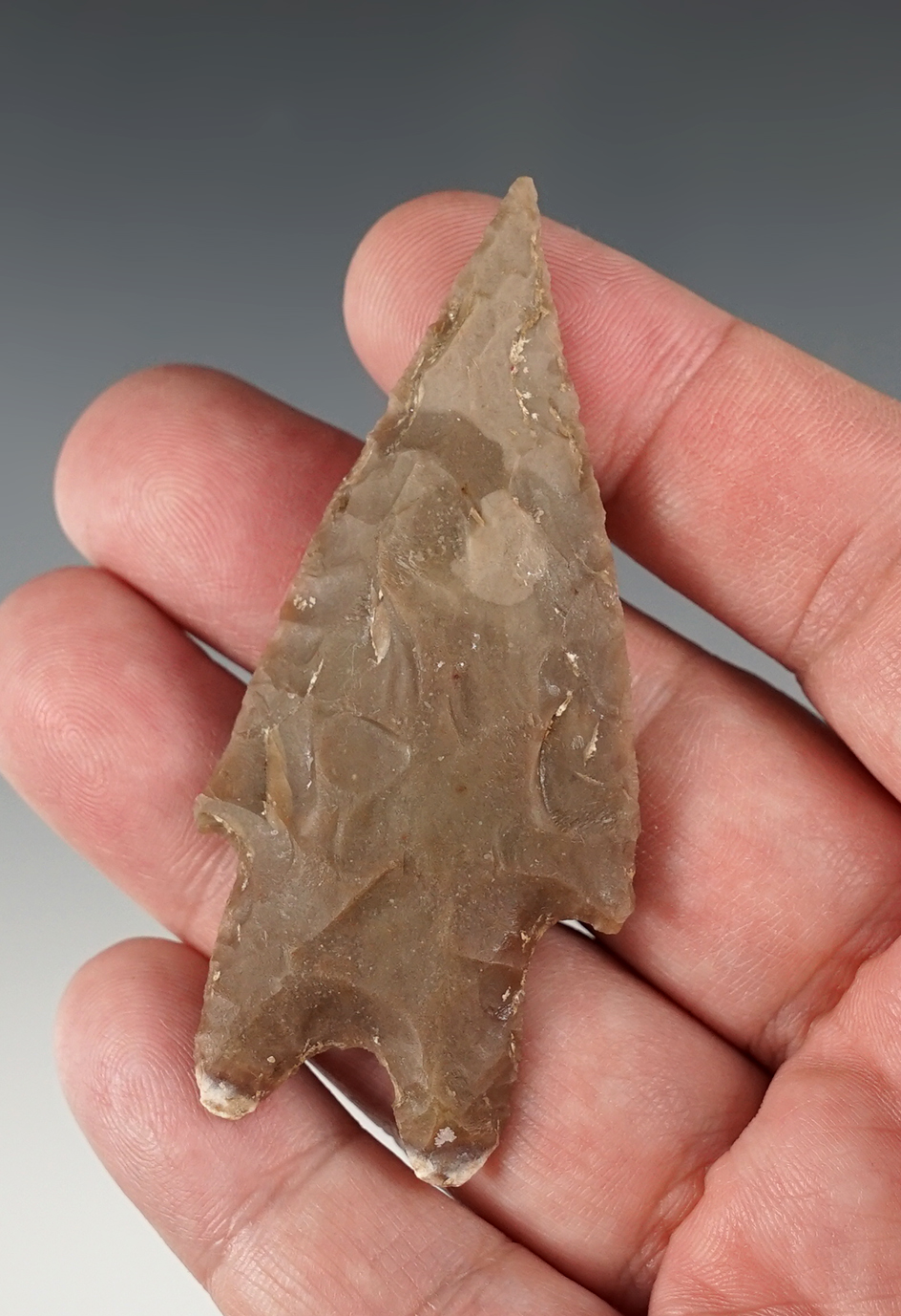 Nicely styled 2 15/16" Texas Pedernales. Bennett COA.