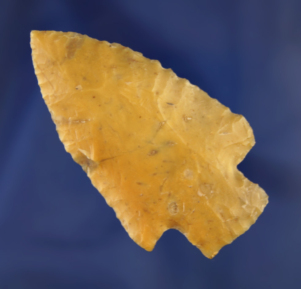 2 11/16" found in Sarasota Co.,  Florida. Ex. Robert E. Barr, Len Weidner collections. Pictured