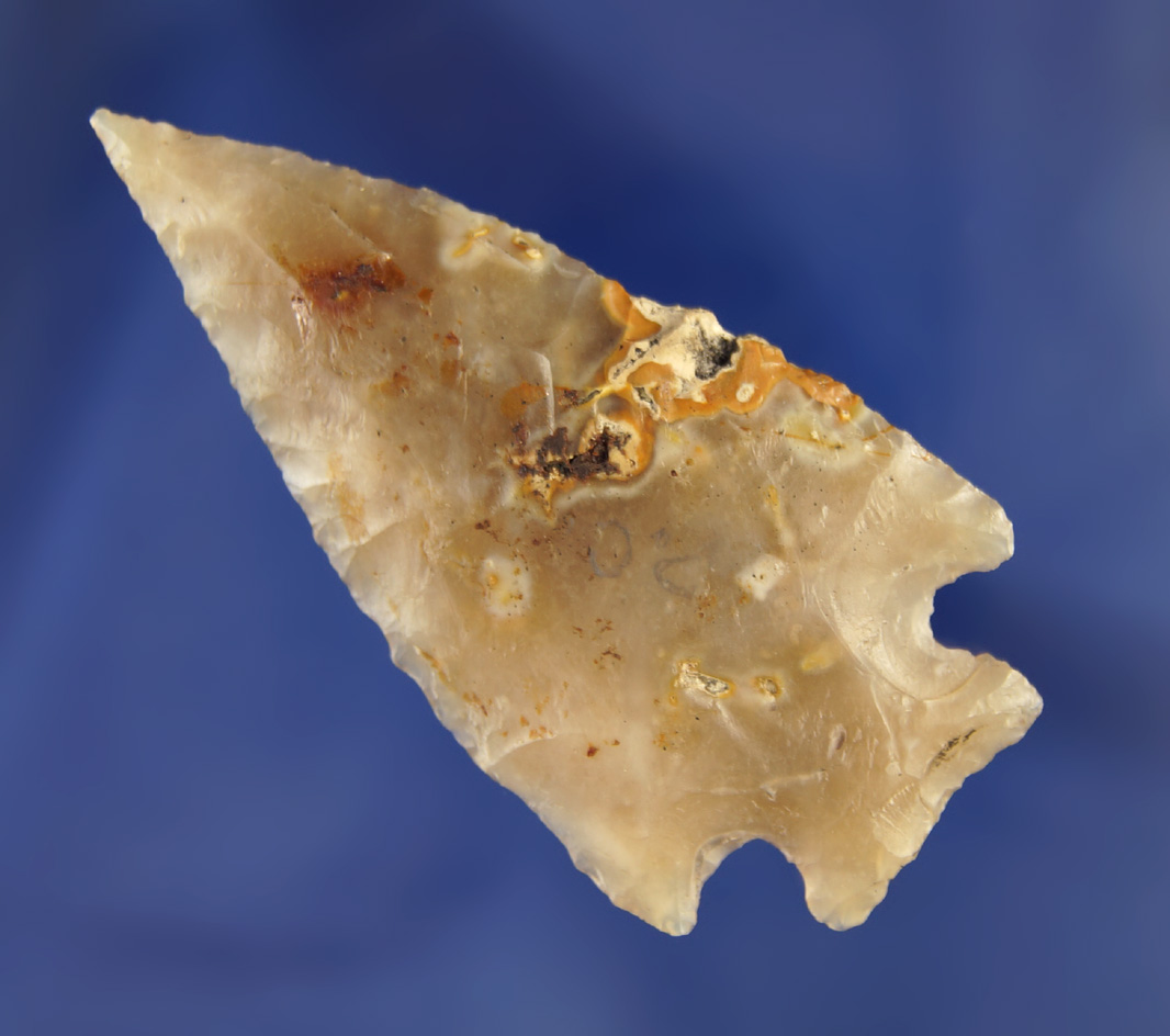 Nicely translucent 2 1/2" found in Pascoe Co.,  Florida. Ex. Robert E. Barr. Pictured