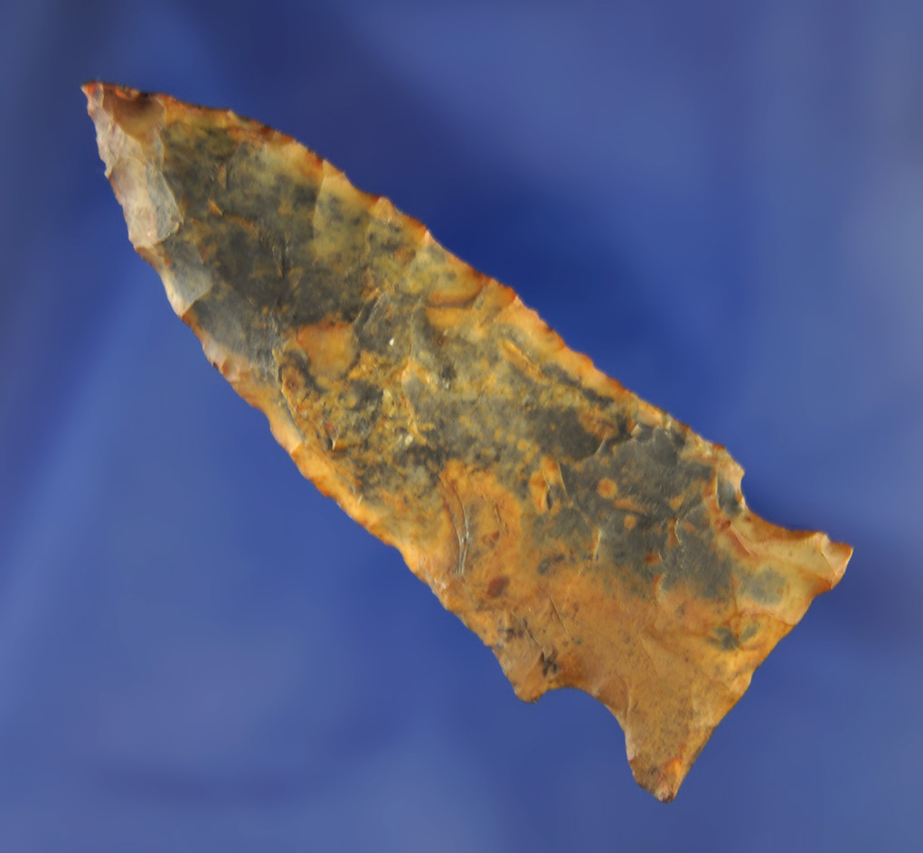 2 11/16" found near the Santa Fe River in Alachua Co.,  Florida. Ex. Robert E. Barr, Len Weidner