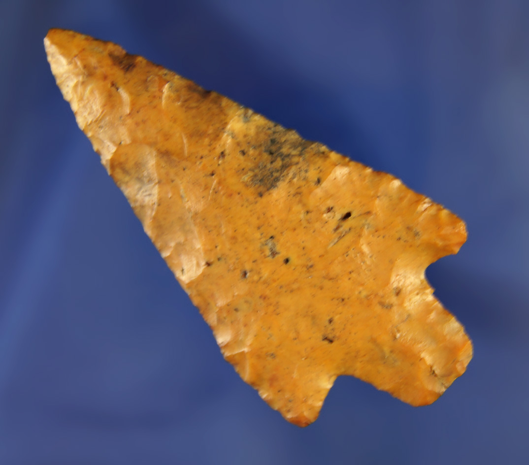 2 13/16" found near the Santa Fe River, Alachua Co.,  Florida. Ex. Robert E. Barr, Len Weidne