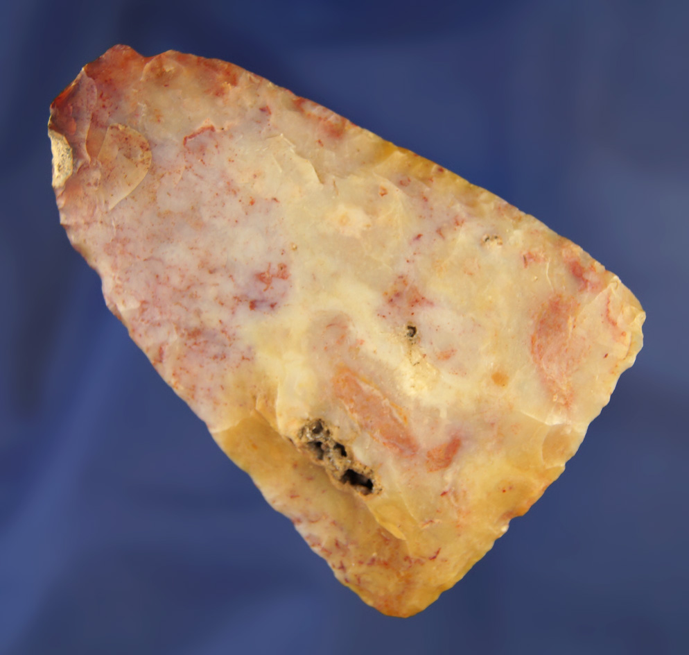 Colorful 3 3/16" Blade found in Pascoe Co.,  Florida.  Ex. Robert E. Barr, Len Weidner collections.