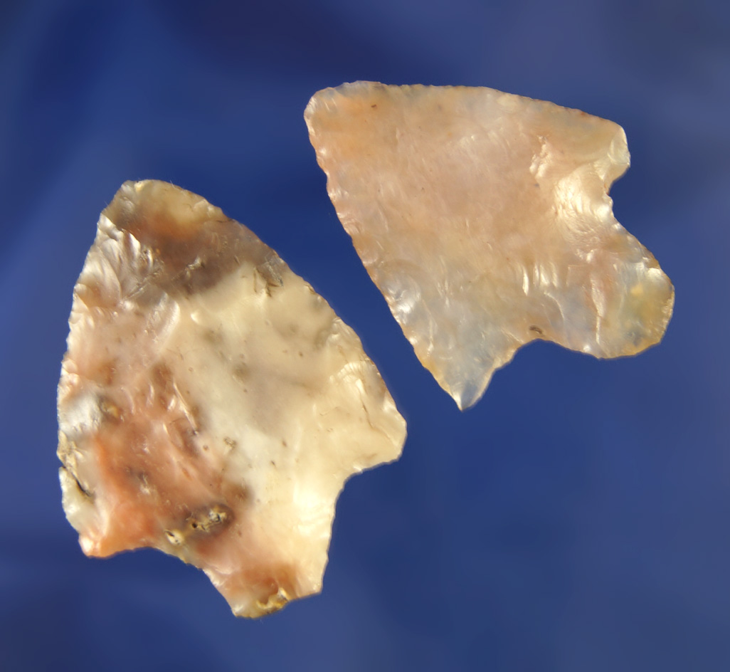 Pair of beautifully colorful Florida points found in Pascoe Co.,  Florida. Largest is 1 9/16".