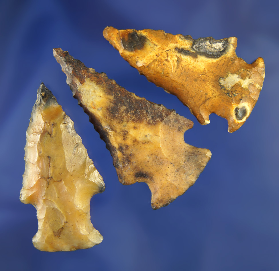 Set of three very nice Bolen Bevels found in Pasco Co.,  Florida in the Santa Fe River drainage area