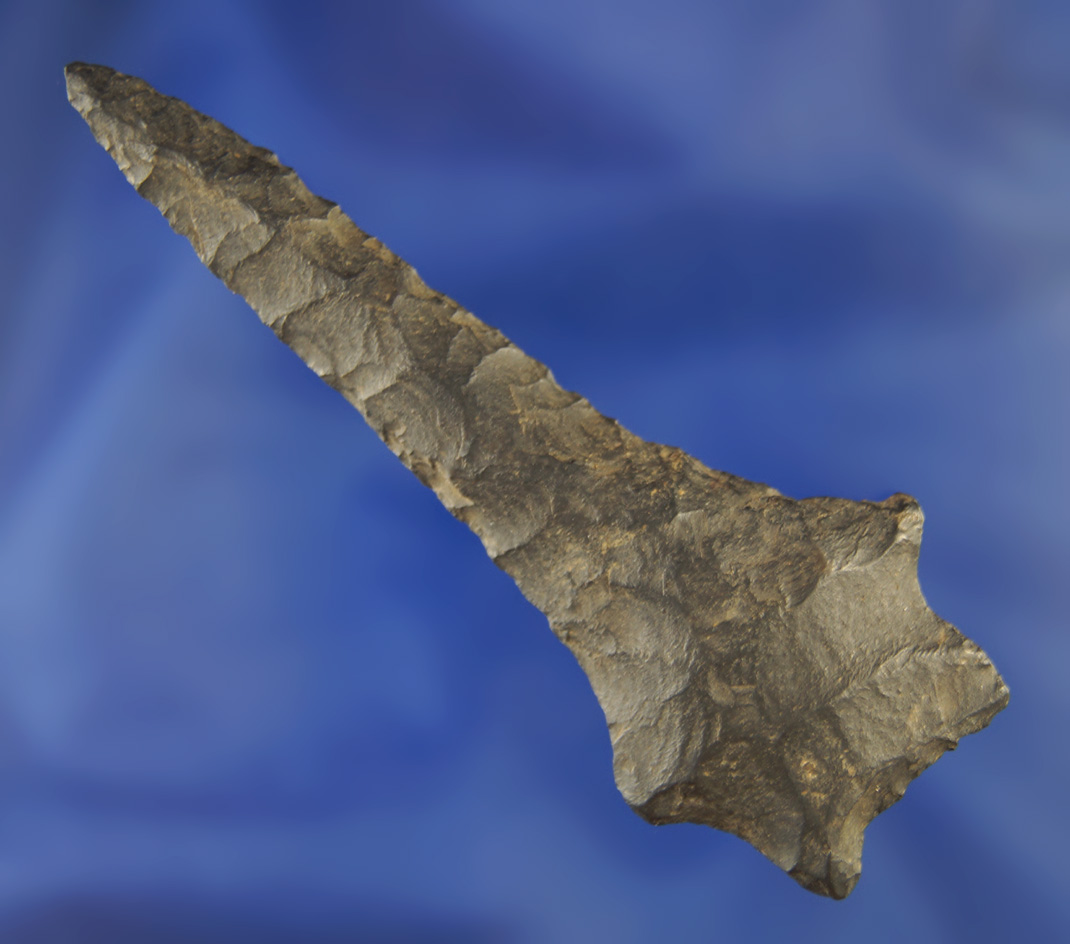 Rare 3" Bifurcated Base Drill found in Columbiana Co., Ohio.