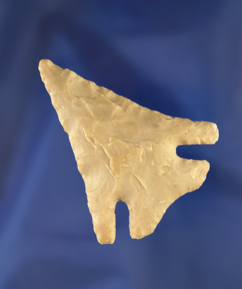 2 5/16" Marcos point - Uvalde Co., Texas in very nice condition with nice long ears.  Rogers COA.