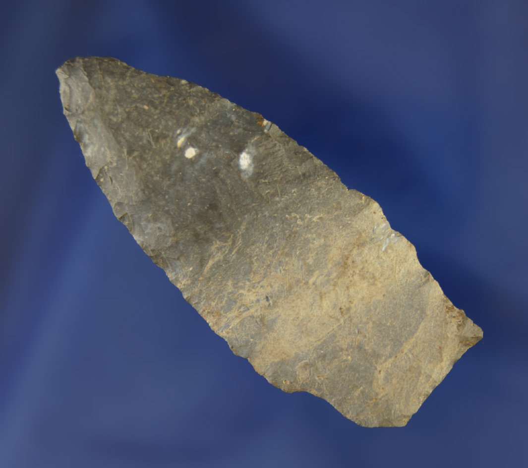 2 1/2" Eastern Stemmed Lanceolate found in New York.