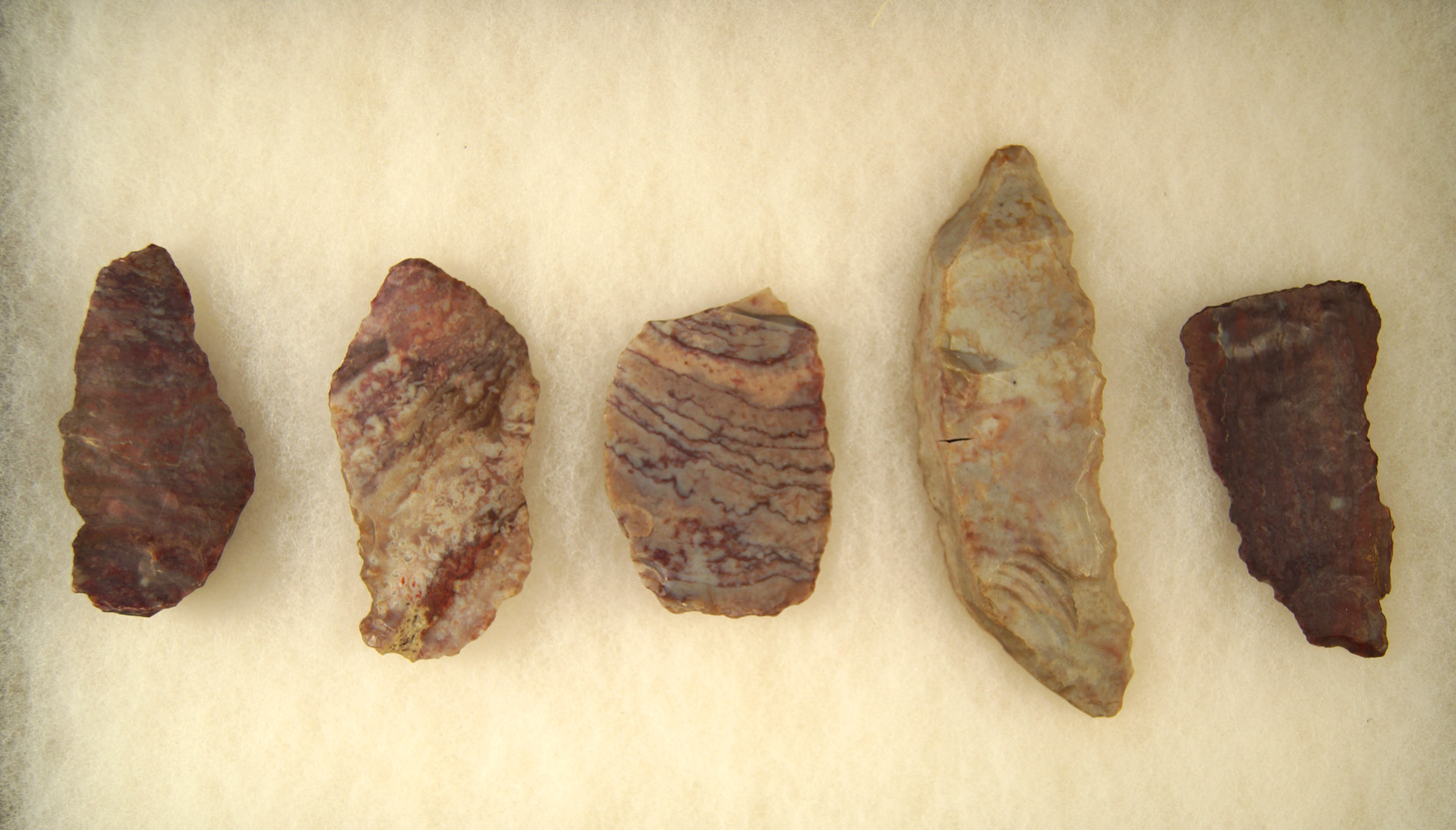 Frame of Highly Colored Paleo Blades made from Alibates Flint, found in Texas. Largest is 4 1/2"