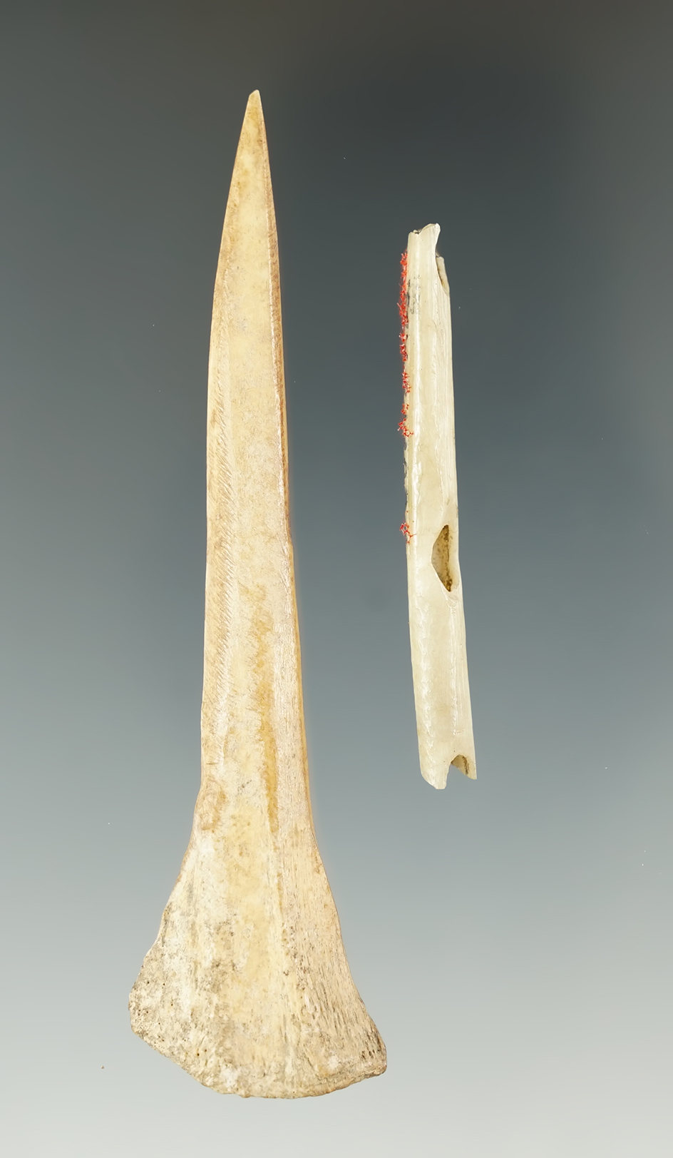 Pair of Bone Artifacts found at the Feurt Site, Scioto Co., Ohio. Bone Awl measures 3 7/16".