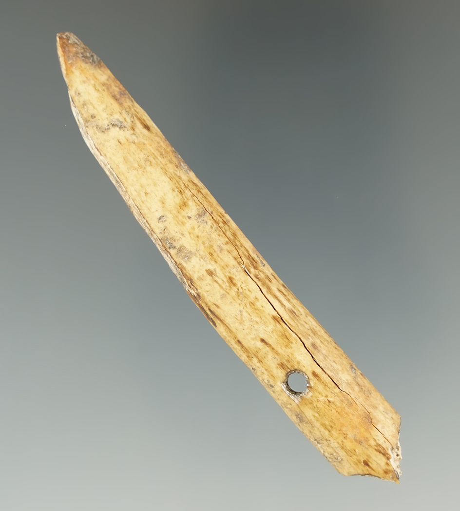 3 1/2" Bone Awl found in Landerdale Co., Tennessee. Ex. David White Collection. Falleti COA.