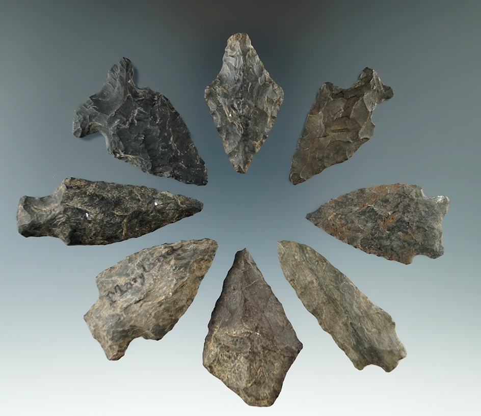 Set of 8 assorted arrowheads found in Maryland, largest is 2 1/8".