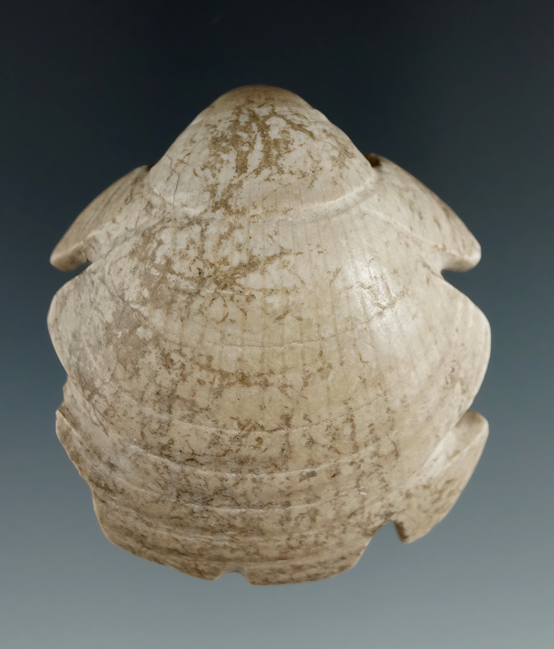 Unique!  2 13/16" Zoomorphic Ornament made from shell  found in Arizona - Comes with a COA.