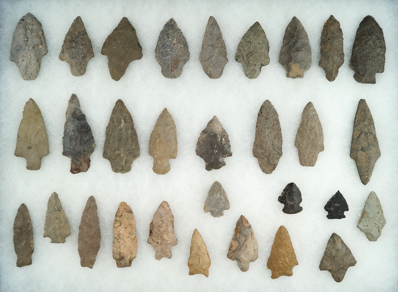 Large group of 30 assorted points and knives found in New Jersey, largest is 3 1/4".