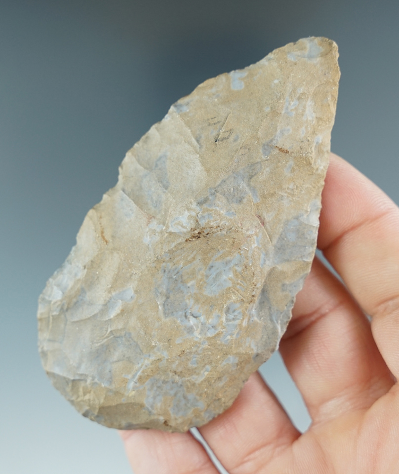 3 1/2" Archaic Blade found near Medford, Burlington County New Jersey.