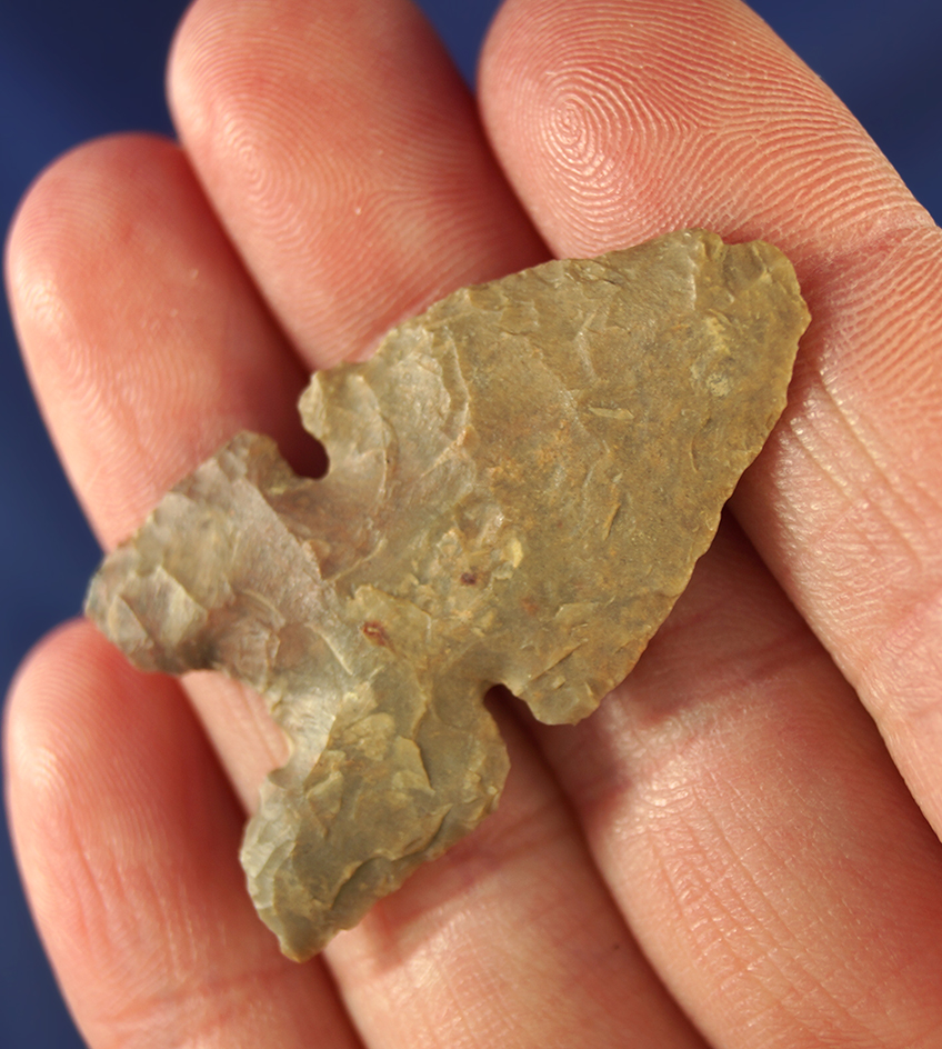 Thin 1 5/8" Mallory point. Wyoming.