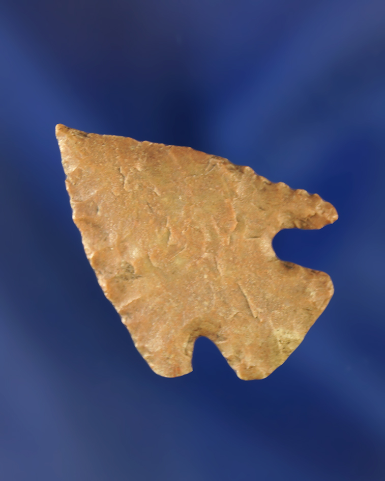 1 1/4" Pelican Lake that is very thin. Wyoming.