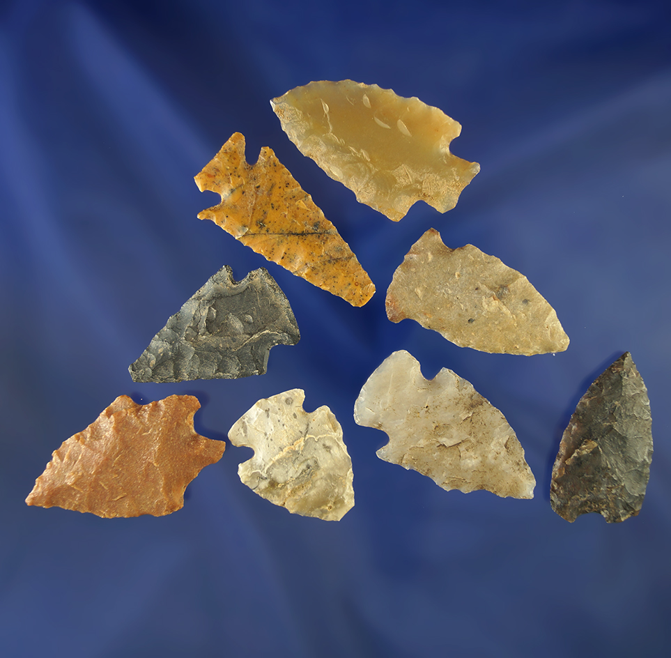 Set of eight assorted arrowheads, largest is 1 1/2". Wyoming.