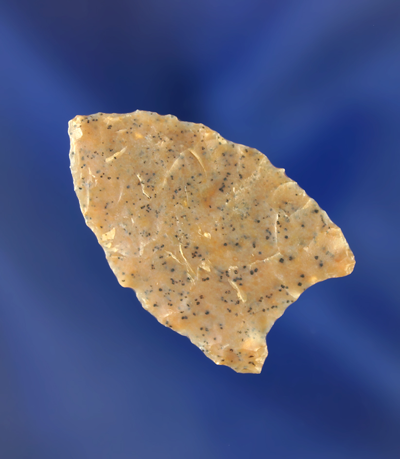 1 1/4" exceptionally thin and beautifully flaked McKean- semi translucent material. Wyoming.