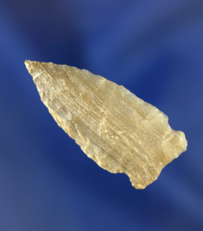 1 7/16" Besant made from attractive striped petrified wood. Wyoming.