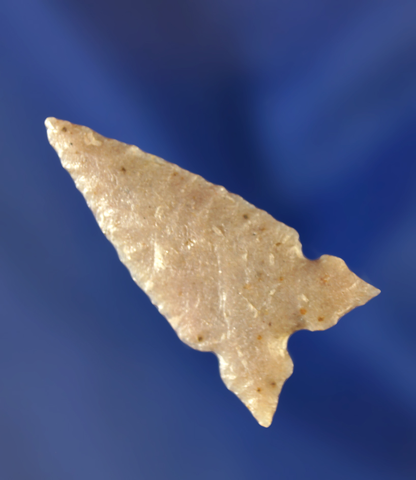 1 3/8" thin and very nicely flaked Mallory. Wyoming.