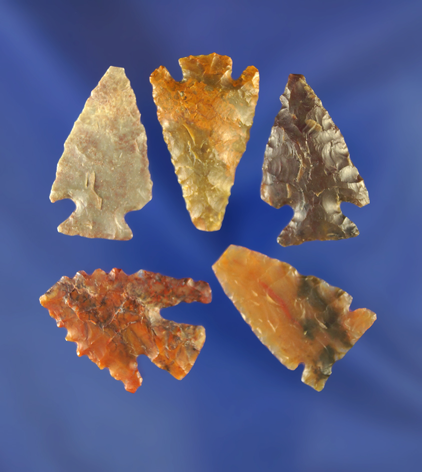 Set of five assorted arrowheads made from quality material, largest is 1". Wyoming.