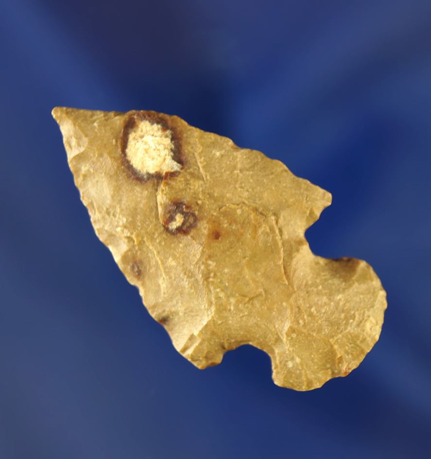 1 11/16" Mount Albion made from uniquely colored material that is well patinated. Wyoming.