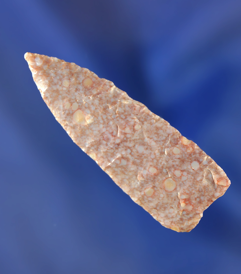 Rare! 1 7/8" paleo Goshen made from beautiful purple material with semi translucent edges. WY.