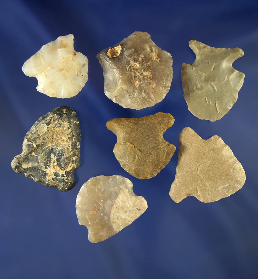 Group of Seven blunts in good condition, largest is 1 7/16". Wyoming.