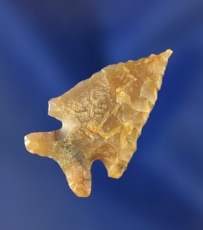 1 5/16" Plains Corner Notch - attractive highly translucent chalcedony - needle tip. Wyoming.