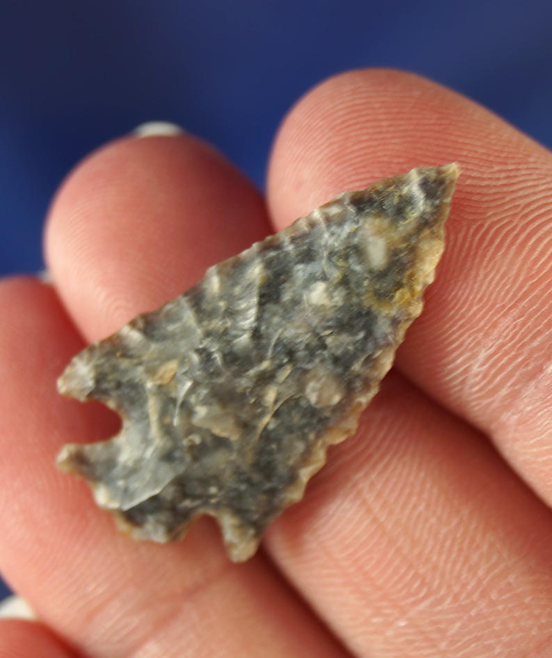 1 3/16" Plains Corner Notch - beautifully patinated semi translucent material. Wyoming.