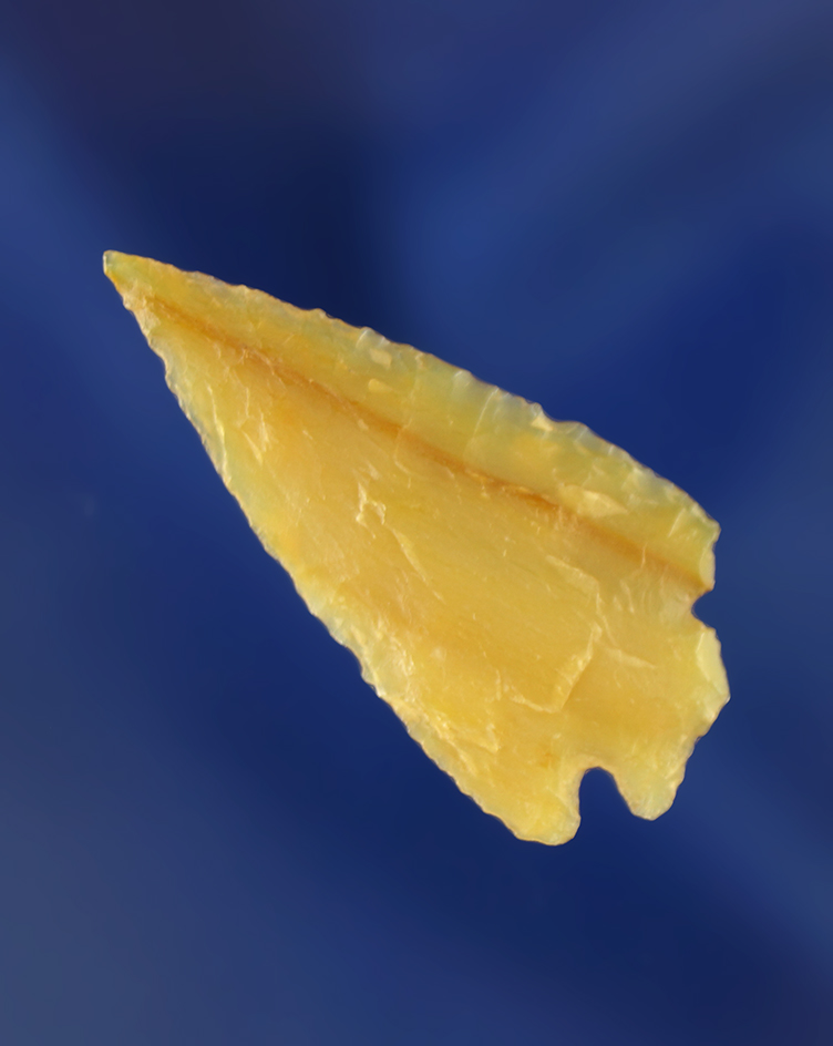 1 1/4" Pelican Lake made from beautiful yellow Agatized Wood that is very thin. Wyoming.