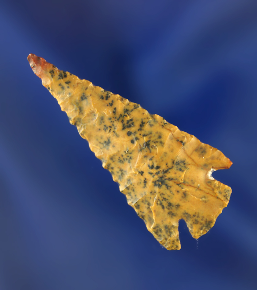 Exceptional! 1 9/16" Pelican Lake with excellent flaking - beautiful material. Wyoming.