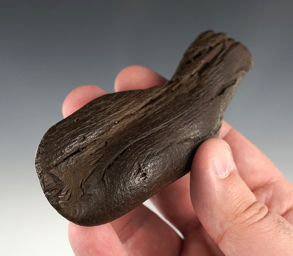 4 3/16" Section Fossilized Wood that appears to have been cut on one and end shaped as a tool.