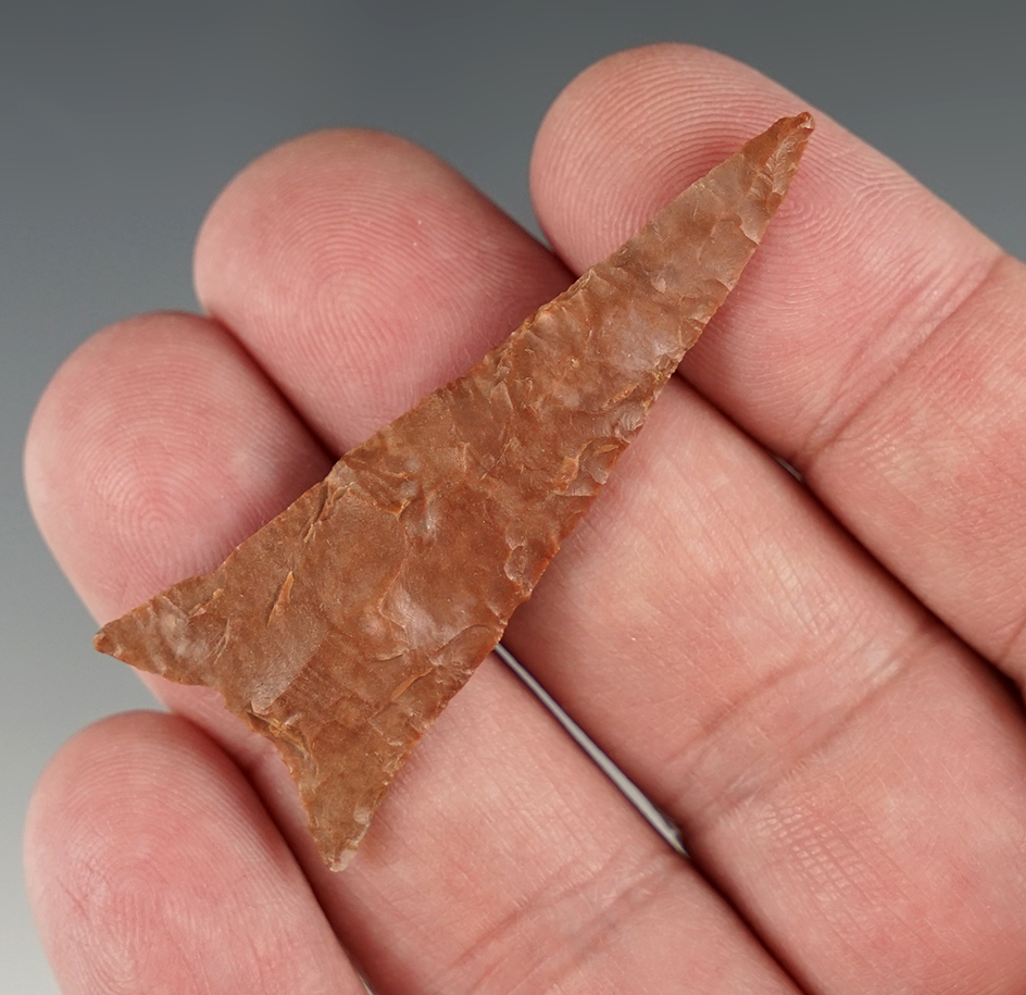 Beautifully colored 2 1/8" Madison Triangle point found in Tennessee. Ex. Tom Davis collection.