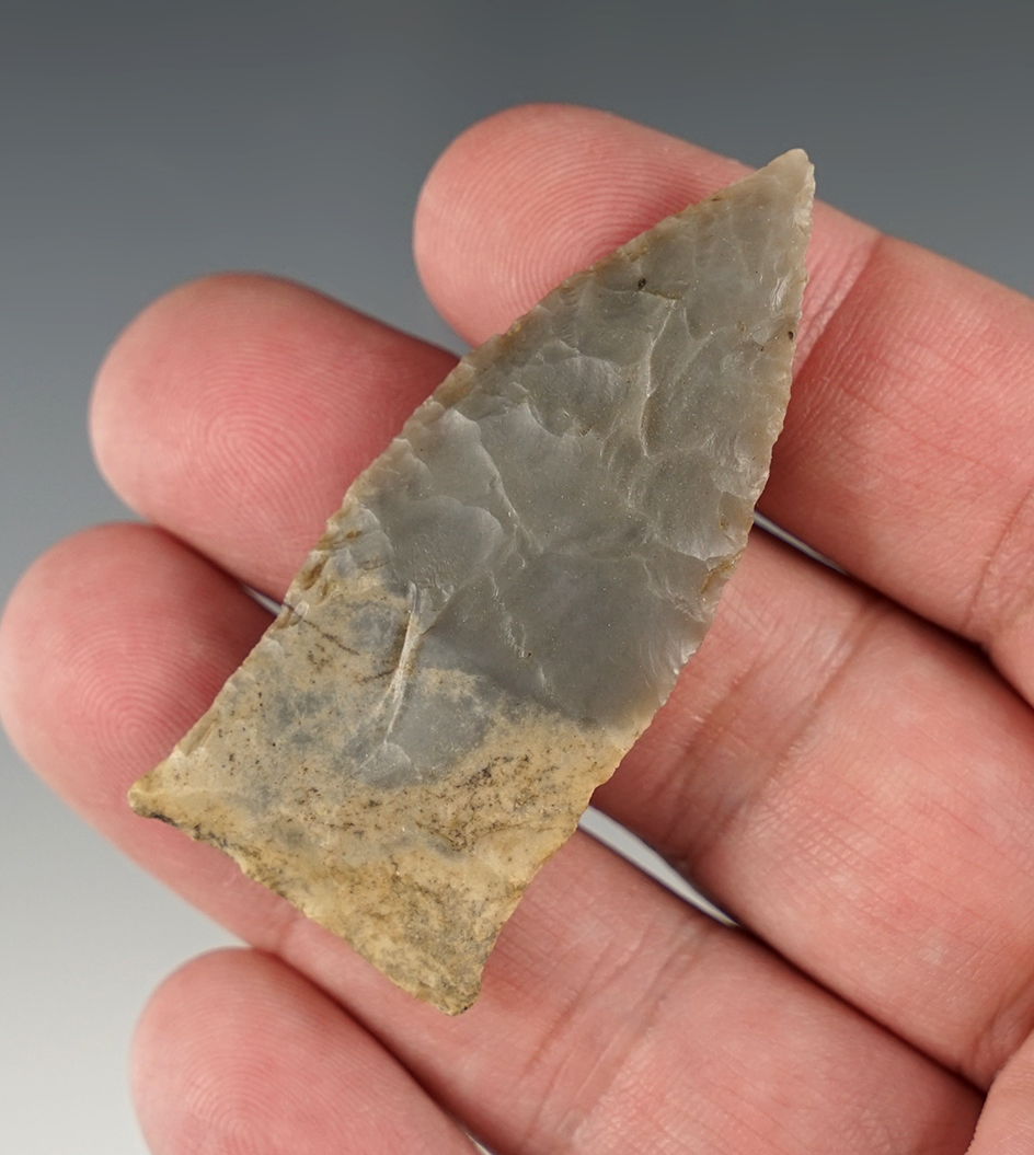 Nicely made 2 5/16" Copena found in Central Tennessee