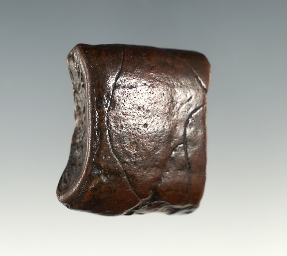 Nicely patinated 1 1/8" Fossilized Sloth Tooth found in Florida.