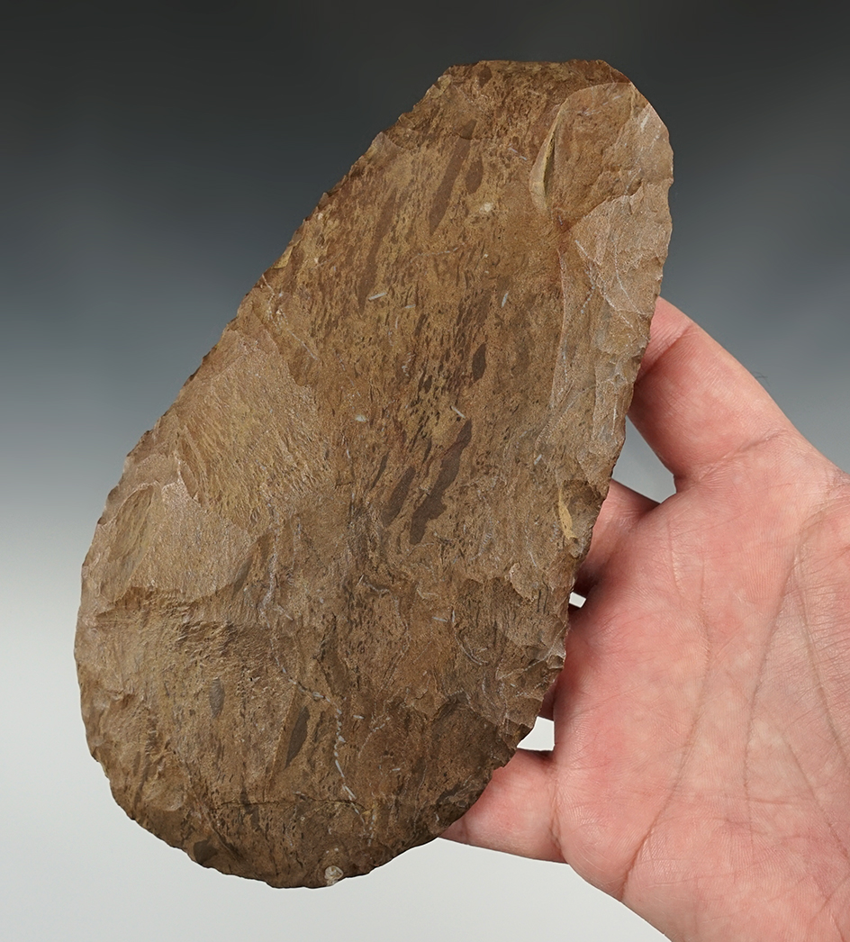 7" long Mississippian Spade - Christian Co., Kentucky. Dickey COA.