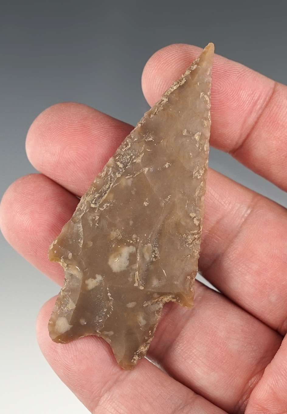 2 7/8" Pedernales found in Bandera Co., Texas near Pipe Creek. Comes with an Arnold COA.