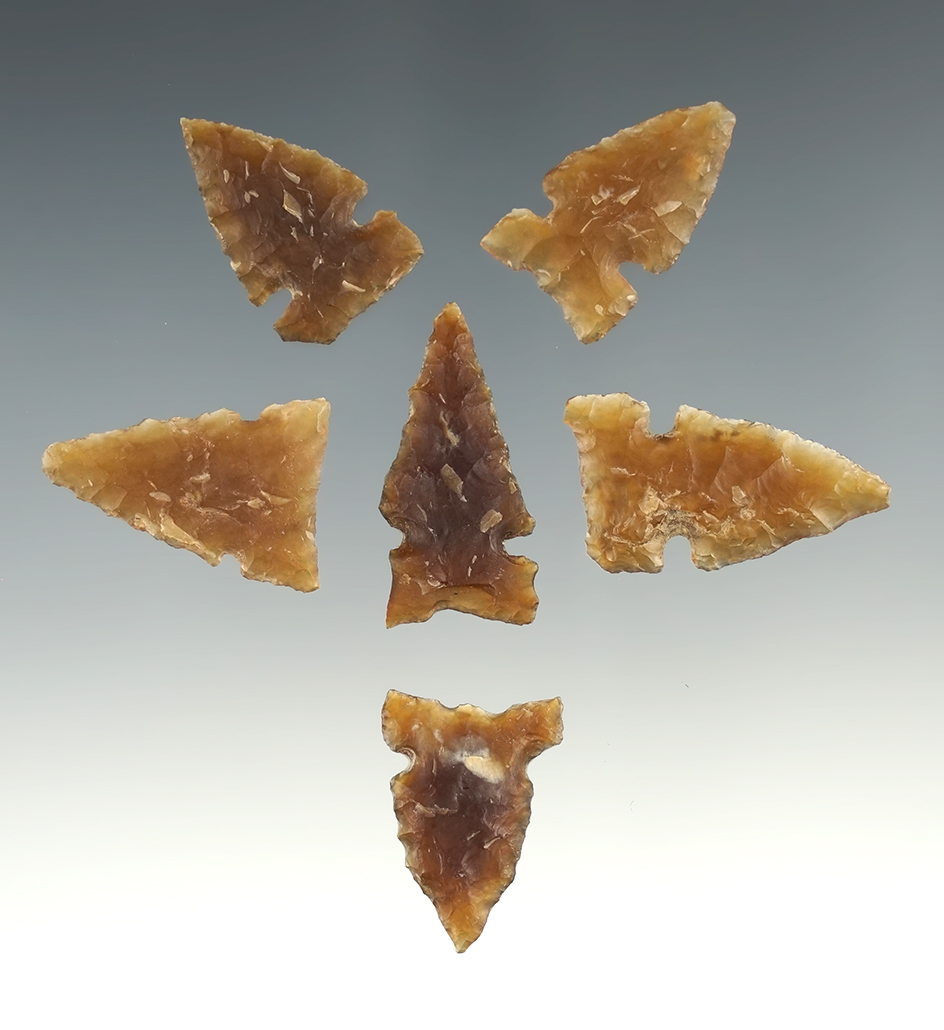 Set of 6 Knife River Flint points. Boley Site in Morton Co., North Dakota. The largest is 1 3/16".