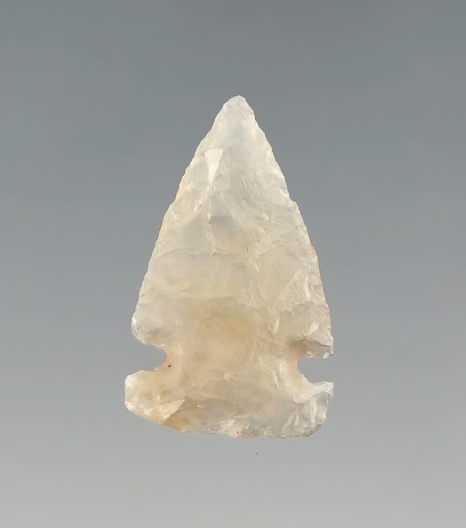 Highly translucent 3/4" Bonita Notch point found in San Juan Co., Colorado.