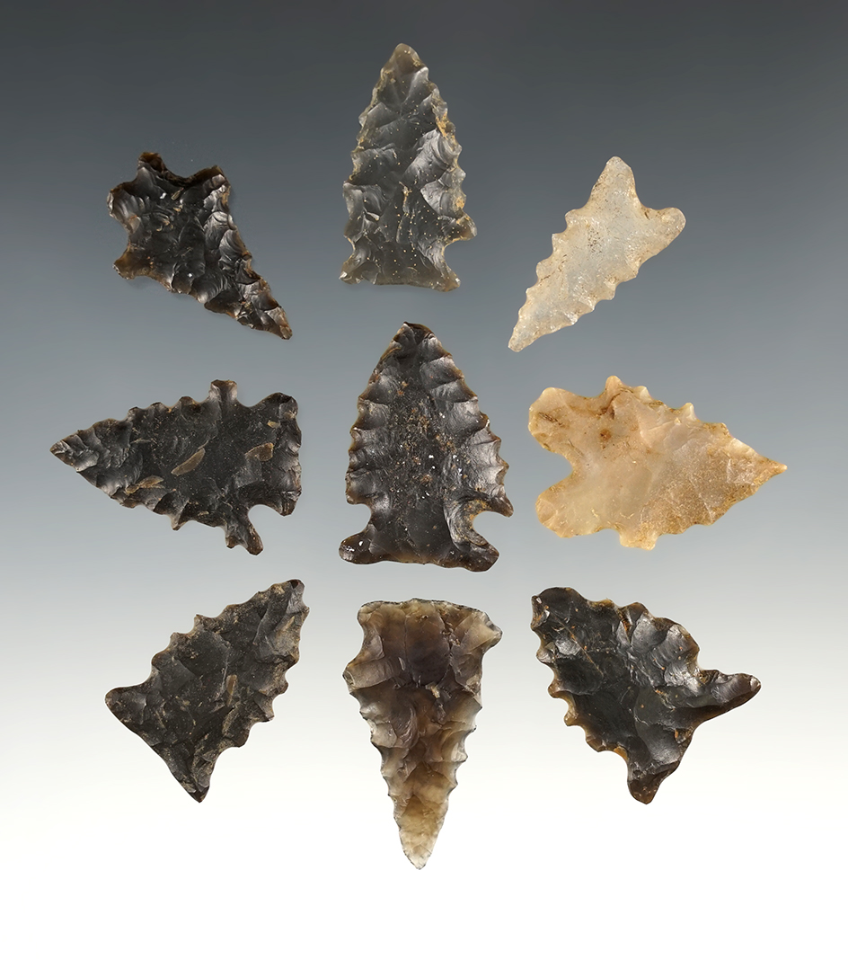 Set of 9 Nicely serrated points found in the Kentucky/Tennessee area. Great group!