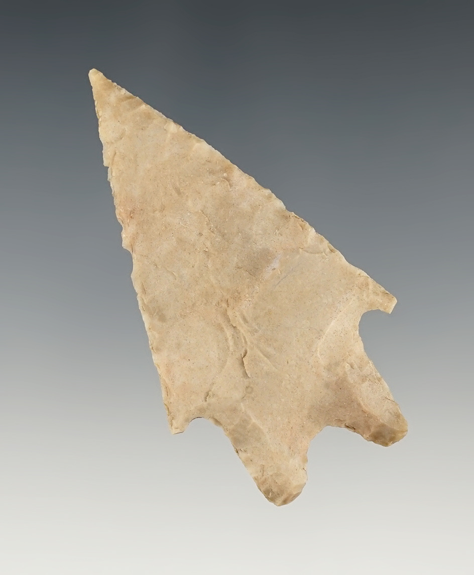 Nice 2 3/4" Pedernales found in Coryell Co., Texas. Comes with a Rogers COA.