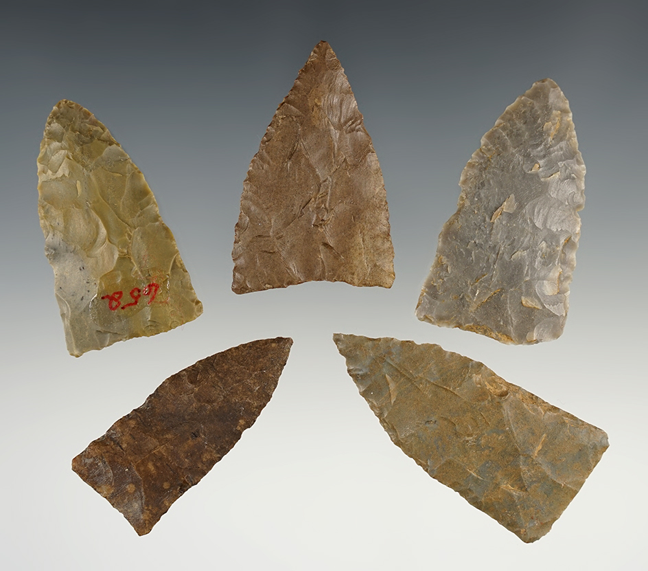 Set of 5 nice Copena points found in the Kentucky/Tennessee area. The largest is 2 1/4".