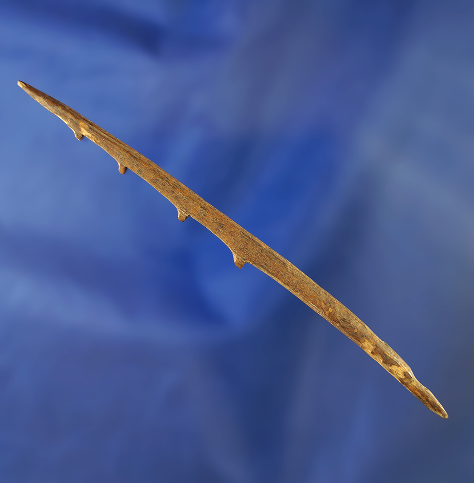 Delicately made 4 3/16" bone harpoon tip with nice barbs.