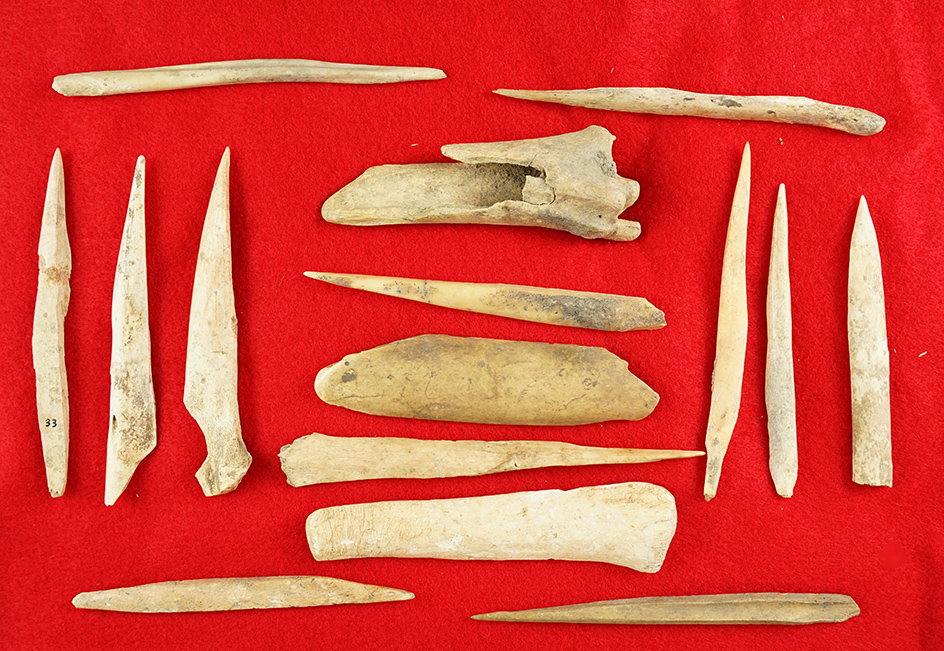 Group of 15 bone awls and tools found at a site in Kentucky. Largest is 5".
